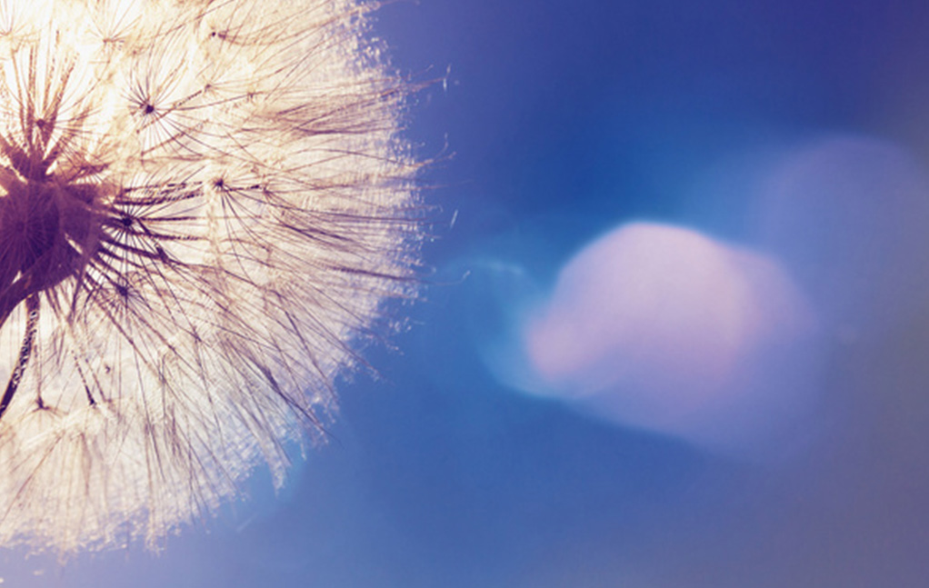 AG8亚洲游戏国际集团·(中国)官方网站